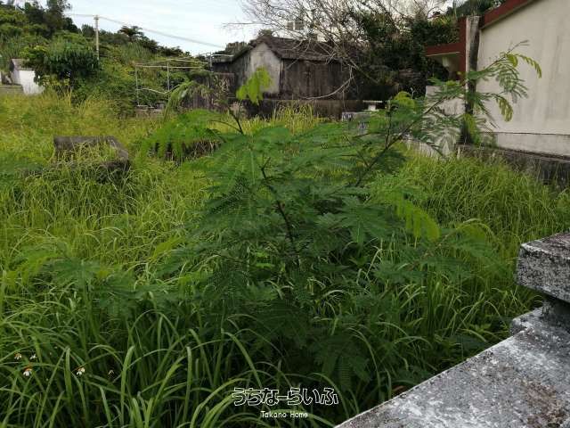 35m² Cemetery Land for Sale in Sakae Nobi, Uruma City - Thumbnail 2