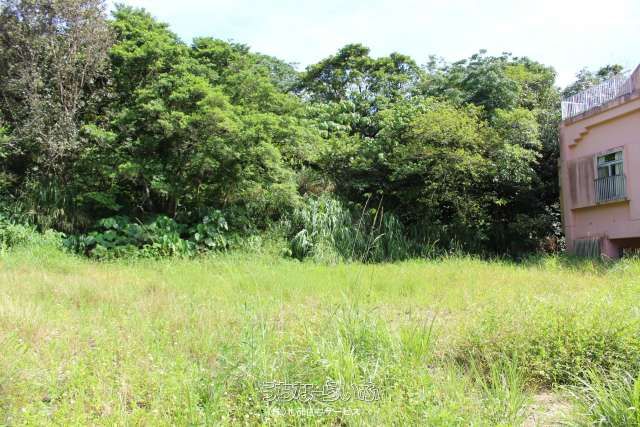 1,130 sqm Forest Land Plots for Sale in Nago, Okinawa - Thumbnail 4