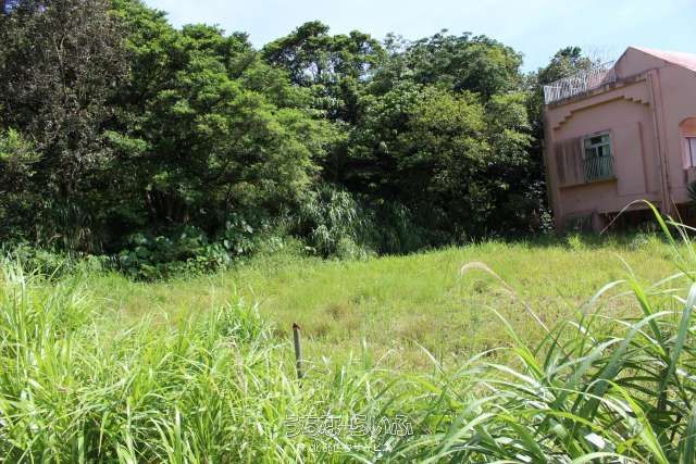 1,130 sqm Forest Land Plots for Sale in Nago, Okinawa - Thumbnail 3