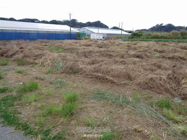 911 sqm Agricultural Land for Sale in Itoman City, Okinawa - Thumbnail 3