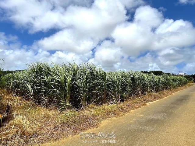 2,279 sqm Land for Sale in Ueno, Miyakojima City, Okinawa - Thumbnail 2