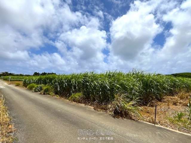 2,279 sqm Land for Sale in Ueno, Miyakojima City, Okinawa - Thumbnail 3