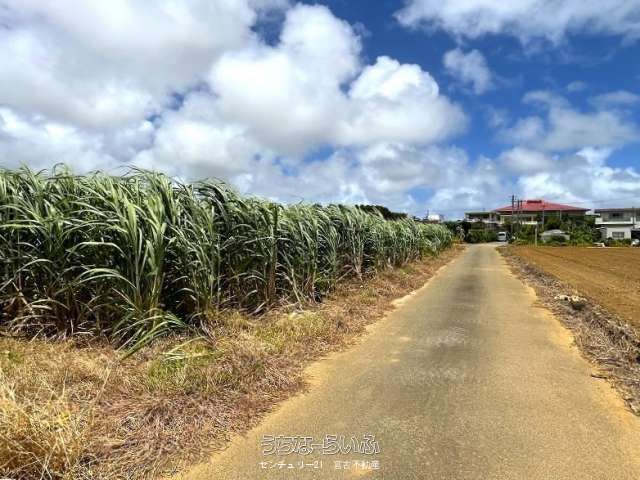 2,279 sqm Land for Sale in Ueno, Miyakojima City, Okinawa - Thumbnail 4