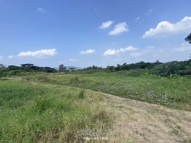 2582.72 sqm Land Plot for Sale in Suidui, Nago City, Okinawa - Thumbnail 2