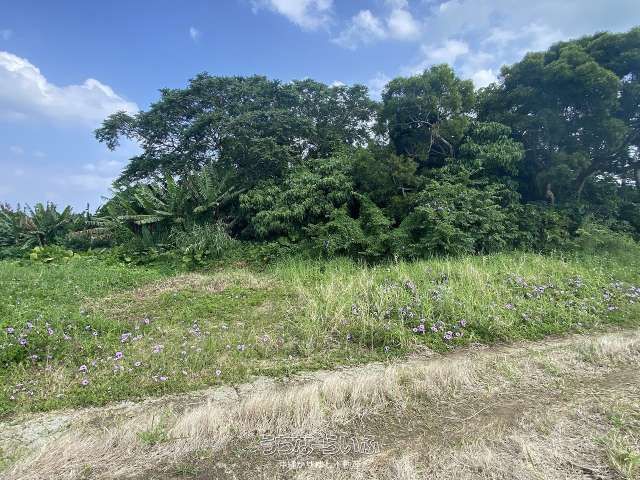 2582.72 sqm Land Plot for Sale in Suidui, Nago City, Okinawa - Thumbnail 4
