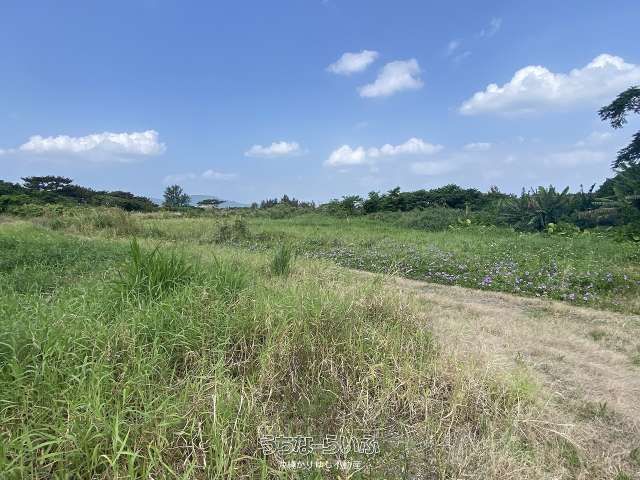 2582.72 sqm Land Plot for Sale in Suidui, Nago City, Okinawa - Thumbnail 3
