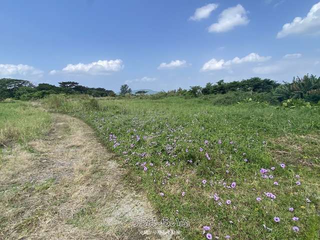 2582.72 sqm Land Plot for Sale in Suidui, Nago City, Okinawa - Image 1
