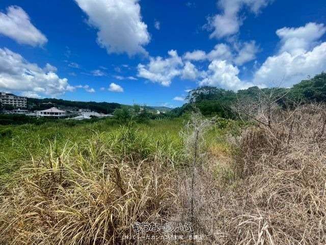 2333 sqm Land Plot for Sale in Nago, Okinawa - Development Potential - Thumbnail 4