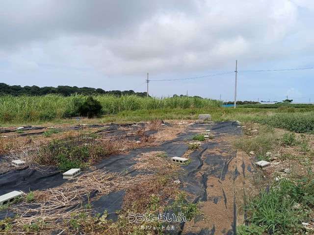 261sqm Residential Land for Sale in Itoman City, Okinawa - Thumbnail 4