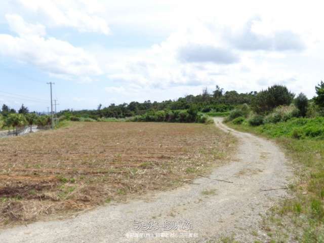 10451 sqm Land for Sale in Toyohara, Nago, Okinawa - Thumbnail 4