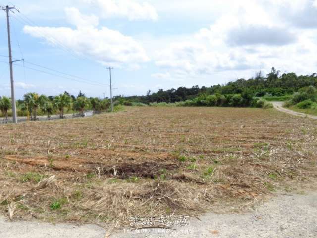 10451 sqm Land for Sale in Toyohara, Nago, Okinawa - Thumbnail 3