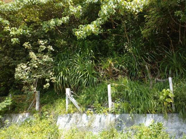304㎡ Land for Sale in Ogimi Village, Okinawa - Near Ocean - Thumbnail 2