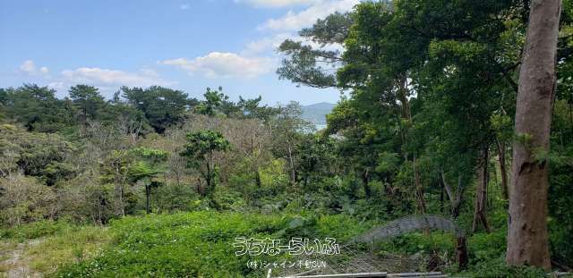 29,663 sqm Land for Sale in Nago City, Okinawa - Near Arashiyama - Thumbnail 4