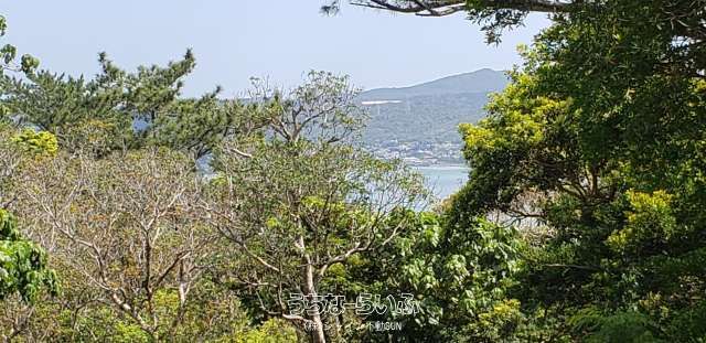 29,663 sqm Land for Sale in Nago City, Okinawa - Near Arashiyama - Thumbnail 3