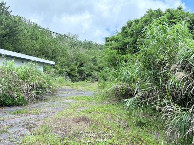 3088m² Land for Sale in Yabu, Nago City, Okinawa - Thumbnail 4