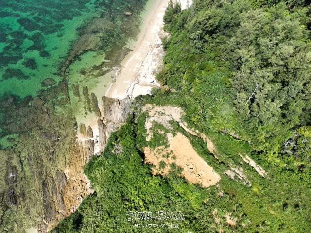 Oceanfront Land for Sale in Nago City, Okinawa - 4299m² Near Beach - Thumbnail 2