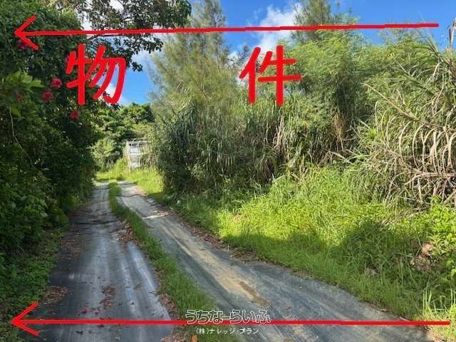 1487 Tsubo Farmland for Sale in Kin Town, Okinawa - Thumbnail 3