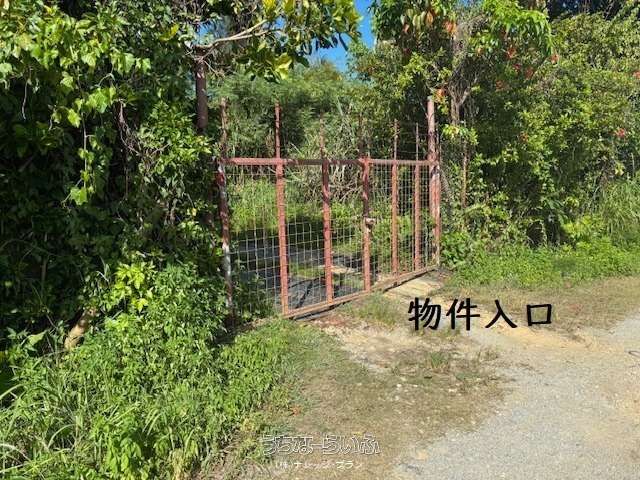 1487 Tsubo Farmland for Sale in Kin Town, Okinawa - Thumbnail 2