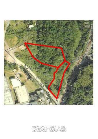 1998 sqm Land for Sale in Nakijin Village, Okinawa - Thumbnail 3