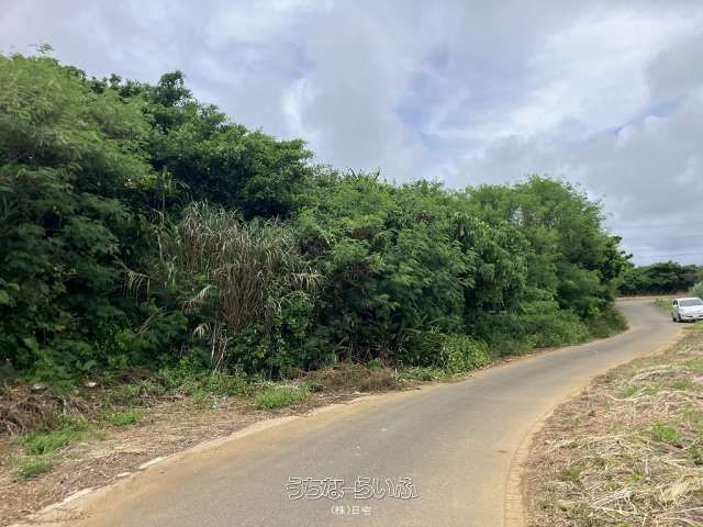 Land for Sale in Miyakojima City, Okinawa - 1859 sqm - Thumbnail 4