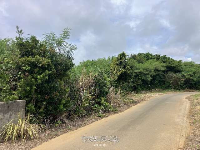 Land for Sale in Miyakojima City, Okinawa - 1859 sqm - Thumbnail 2