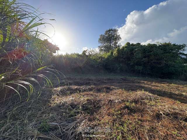 538m² Land for Sale in Zakimi, Yomitan Village, Okinawa - Thumbnail 3