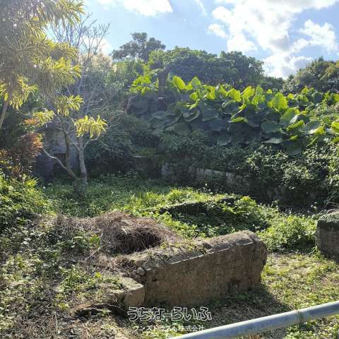 Grave Site Land for Sale in Shuri Daimyocho, Naha, Okinawa - Thumbnail 4