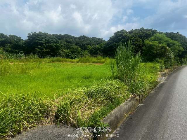 2303 sqm Land for Sale in Nakijin Village, Okinawa - Thumbnail 3
