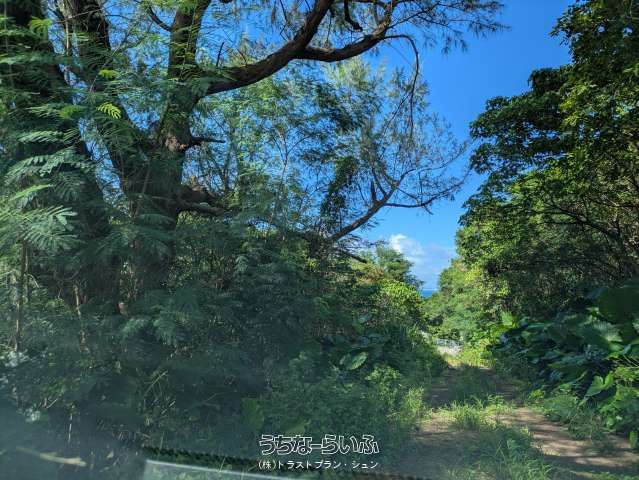 896 sqm Agricultural Land for Sale in Kunihara, Nanjo City, Okinawa - Thumbnail 2