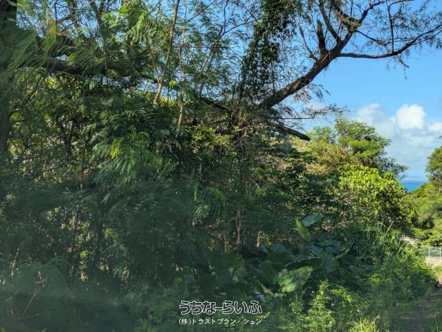 896 sqm Agricultural Land for Sale in Kunihara, Nanjo City, Okinawa - Thumbnail 3