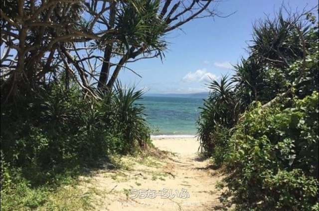 Land for Sale in Saiide, Nago City - 1289.3㎡ Near Beach - Thumbnail 2