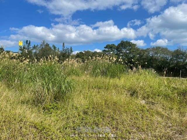 536m² Land for Sale in Kushi, Nago City, Okinawa - Image 1