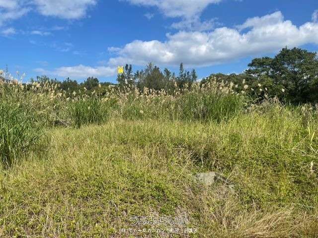 536m² Land for Sale in Kushi, Nago City, Okinawa - Thumbnail 3