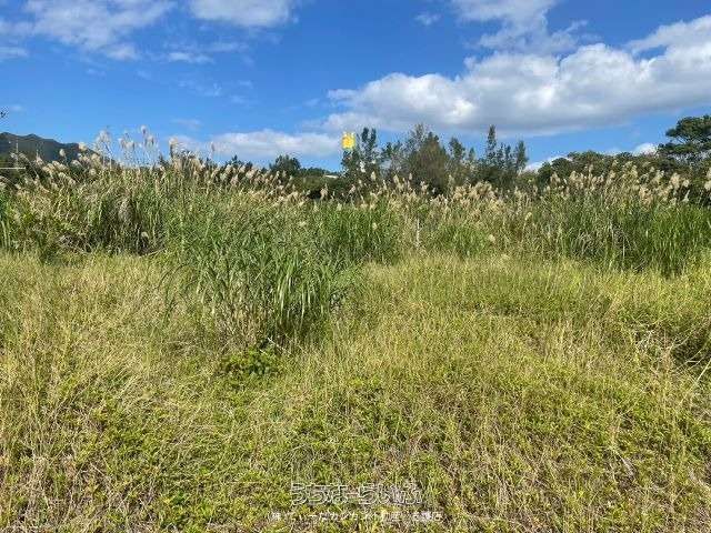 536m² Land for Sale in Kushi, Nago City, Okinawa - Thumbnail 4