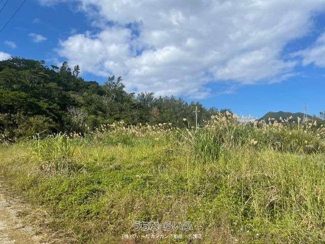 536m² Land for Sale in Kushi, Nago City, Okinawa - Thumbnail 2