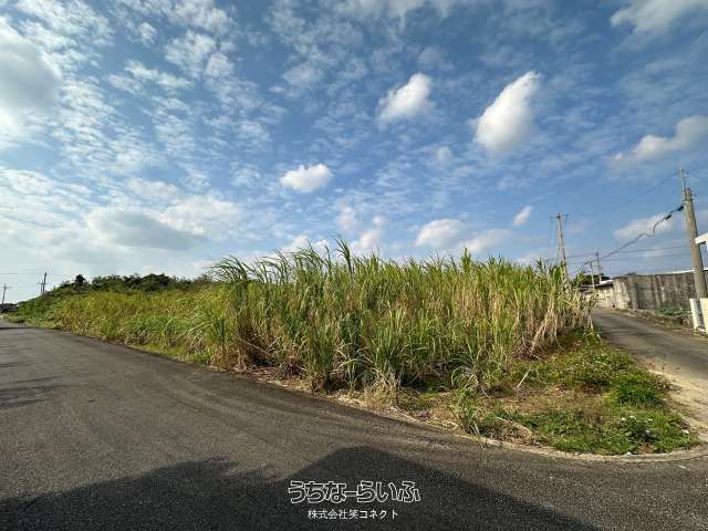 1132 sqm Land for Sale in Miyakojima City, Okinawa with Sea Views - Thumbnail 2