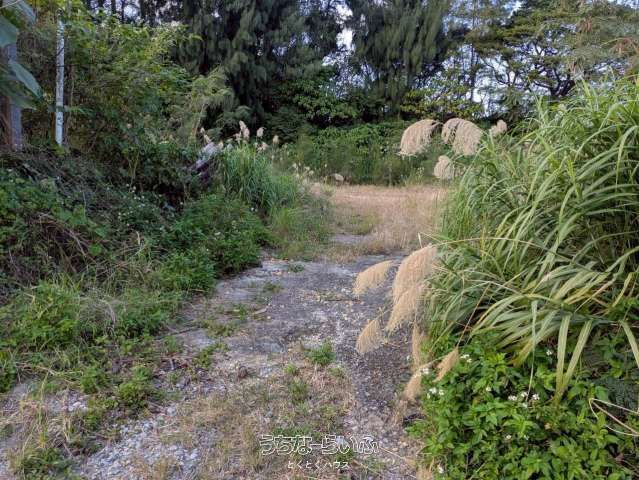 1088 Tsubo Land for Sale in Nakijin, Okinawa's Yanbaru Region - Thumbnail 4