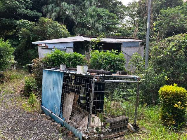Large Land Plot with Structure in Motobu, Okinawa - Thumbnail 4