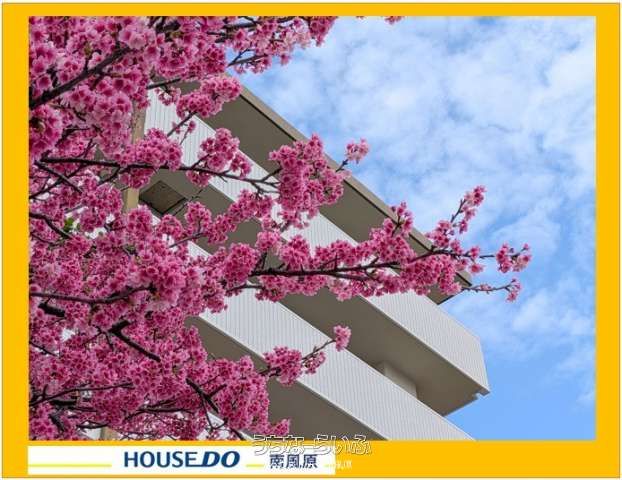 4LDK Top-Floor Corner Apartment for Sale in Ginowan, Okinawa - Thumbnail 2