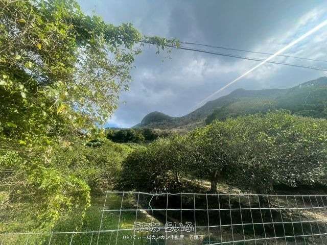 23,456 sqm Land for Sale in Ogimi Village, Okinawa - Thumbnail 4