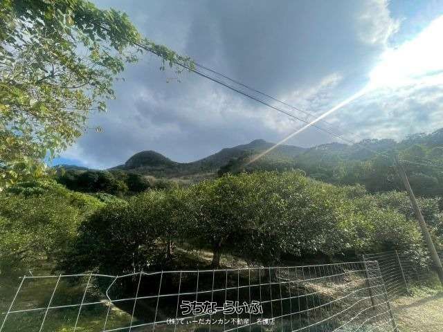 23,456 sqm Land for Sale in Ogimi Village, Okinawa - Thumbnail 2