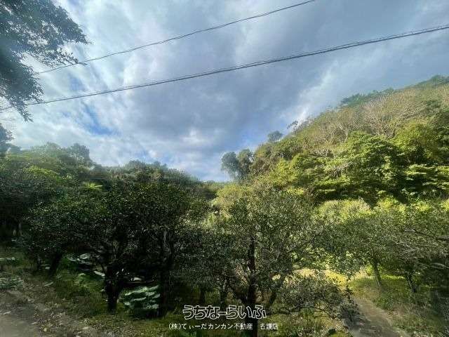 23,456 sqm Land for Sale in Ogimi Village, Okinawa - Thumbnail 3