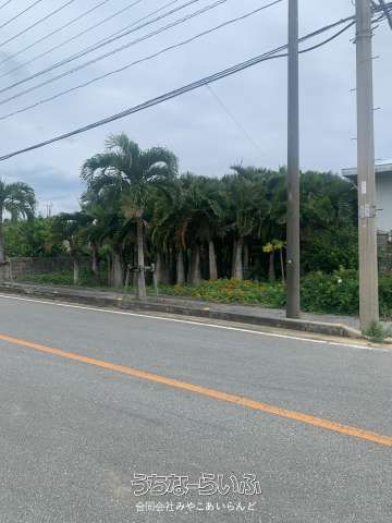 337 sqm Land for Sale in Hora, Miyakojima City, Okinawa - Thumbnail 3