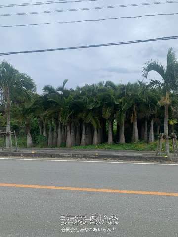 337 sqm Land for Sale in Hora, Miyakojima City, Okinawa - Main Image