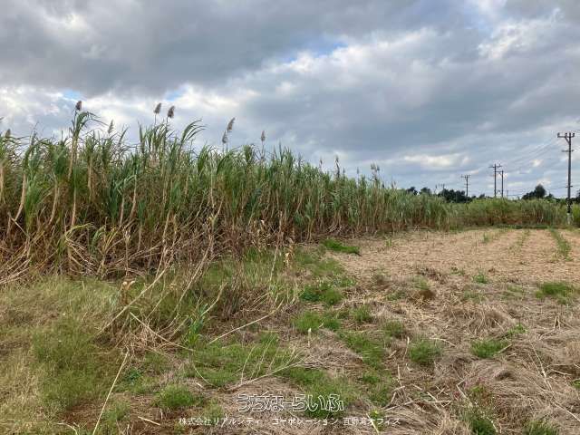 1812 sqm Land for Sale in Miyakojima City, Okinawa - Thumbnail 4
