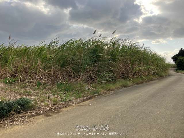 1812 sqm Land for Sale in Miyakojima City, Okinawa - Thumbnail 2