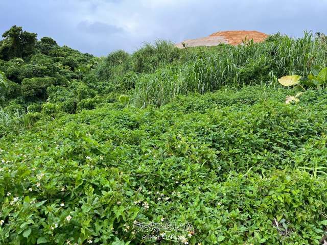 5057m² Land for Sale in Kakeshi, Uruma City, Okinawa - Thumbnail 3