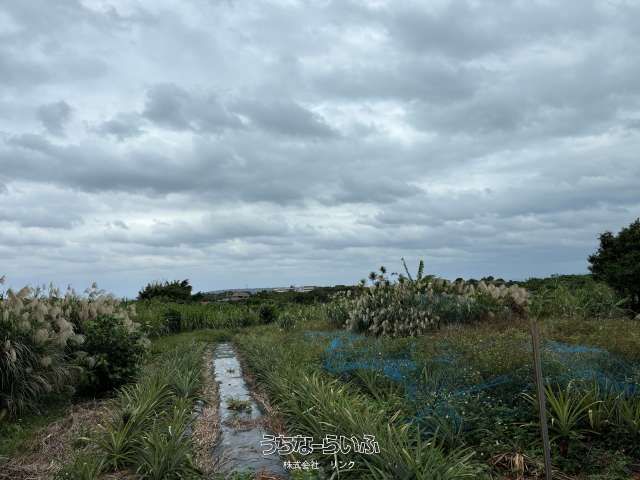 986m² Land for Sale in Nakijin Village, Okinawa - Thumbnail 4