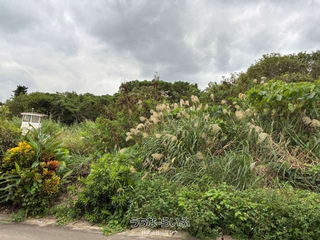 986m² Land for Sale in Nakijin Village, Okinawa - Thumbnail 2