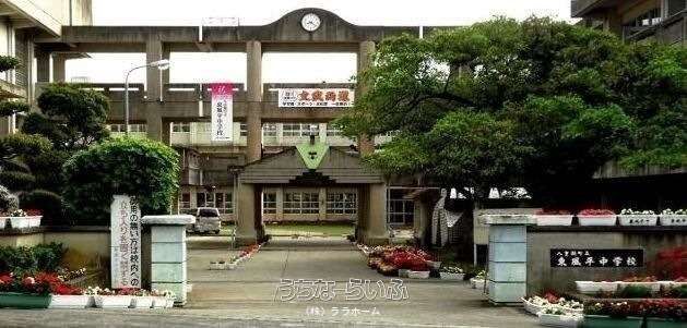 Spacious 2LDK House on 278 Tsubo Plot in Yaese Town, Okinawa - Thumbnail 4
